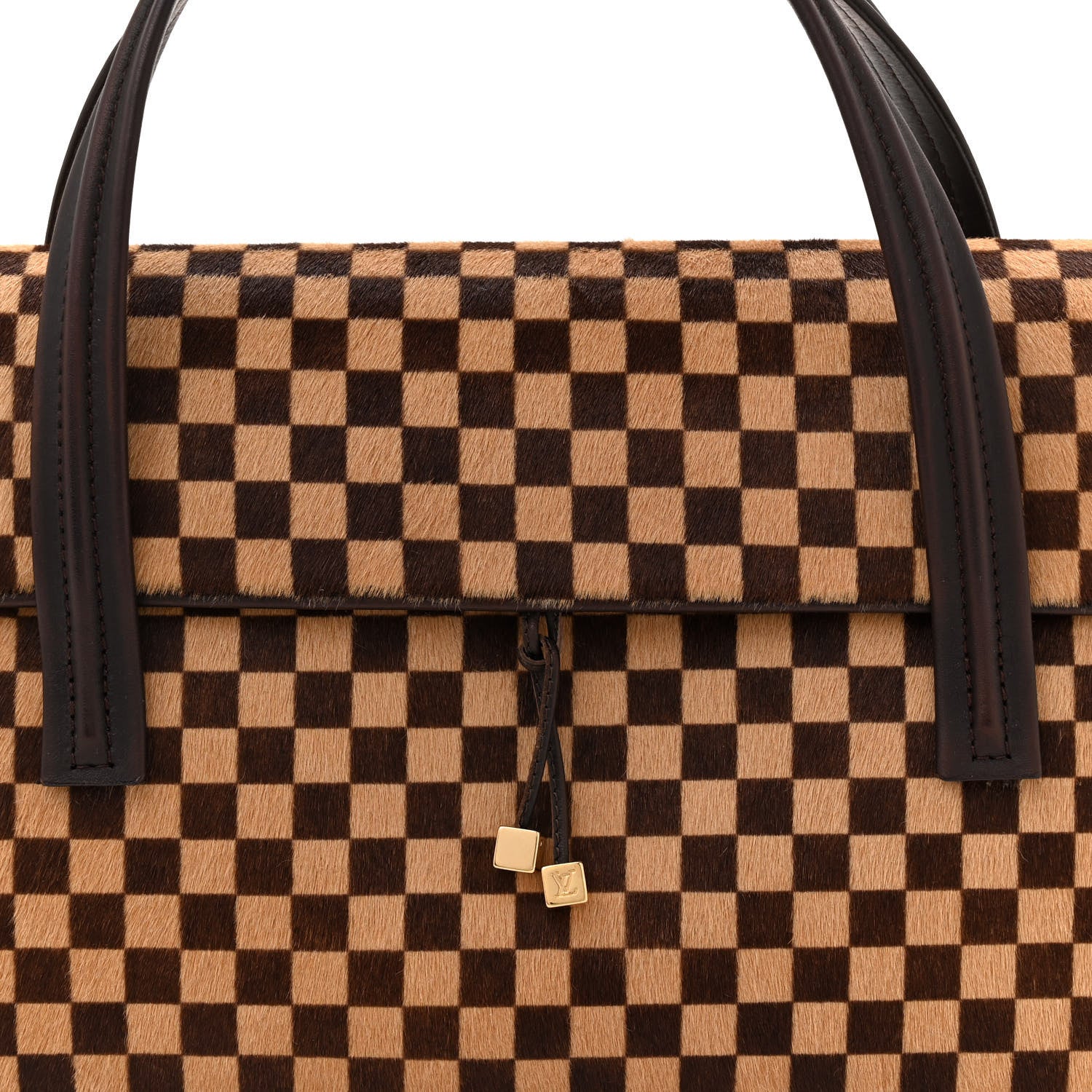 Louis Vuitton Damier Calf Hair Sauvage Lionne 7 of 11