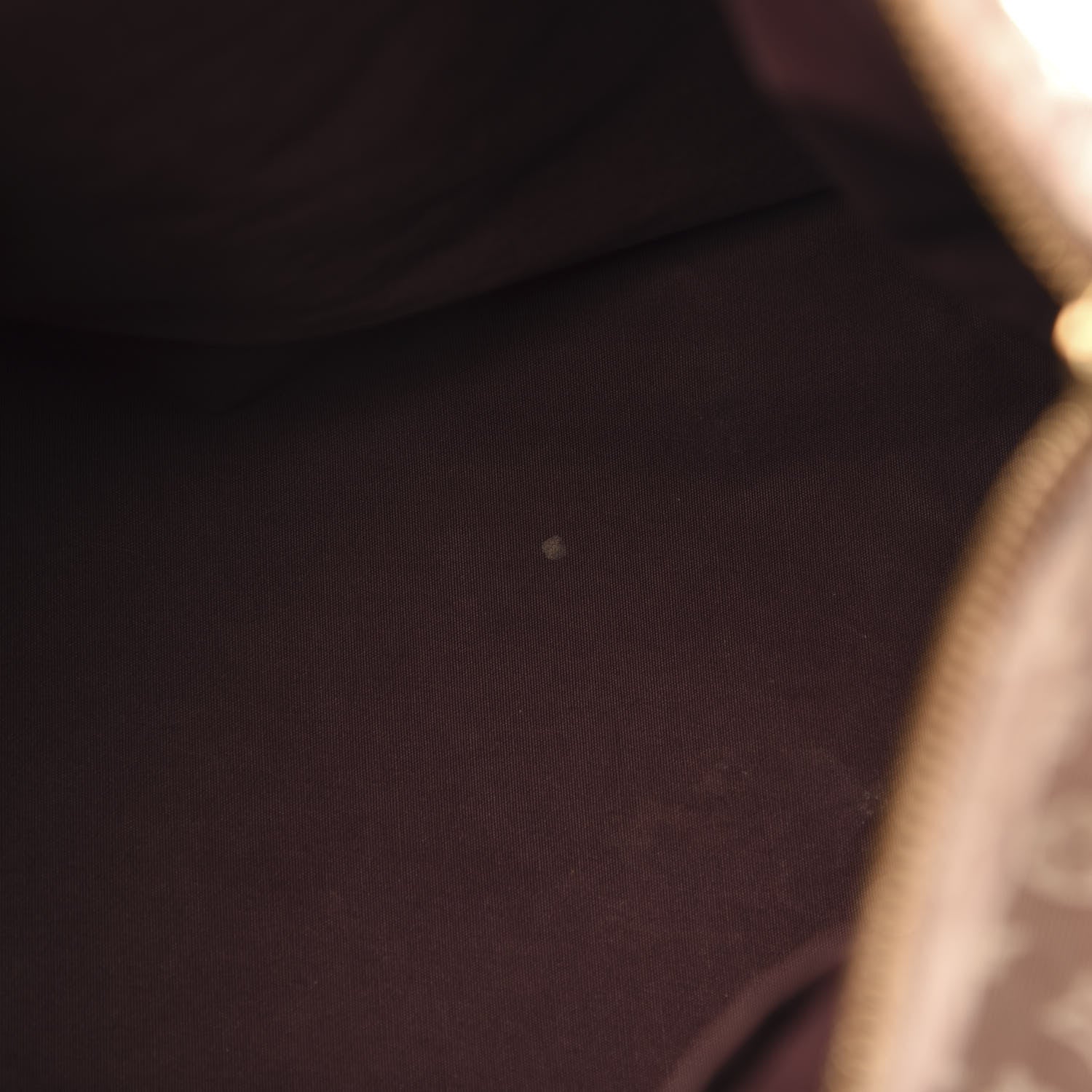 Louis Vuitton Monogram Idylle Speedy Bandouliere 30 Sepia 12 of 12