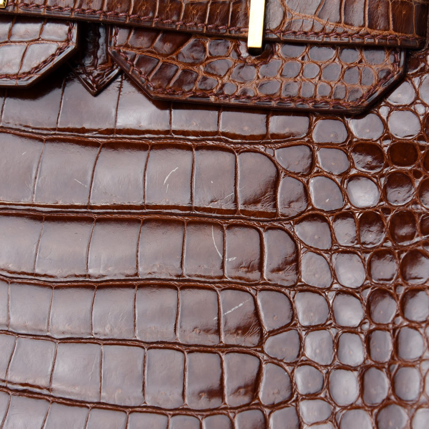 Shiny Porosus Crocodile Birkin 35 Etrusque