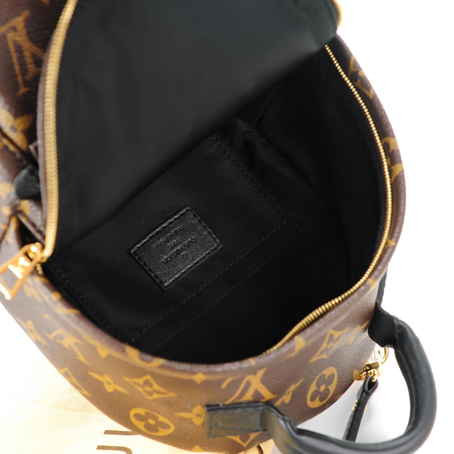 Louis Vuitton Monogram Palm Springs Backpack Mini 5 of 7