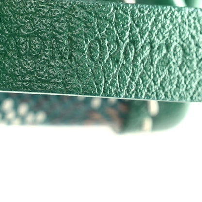Goyard Goyardine Saint Louis PM Green 8 of 11