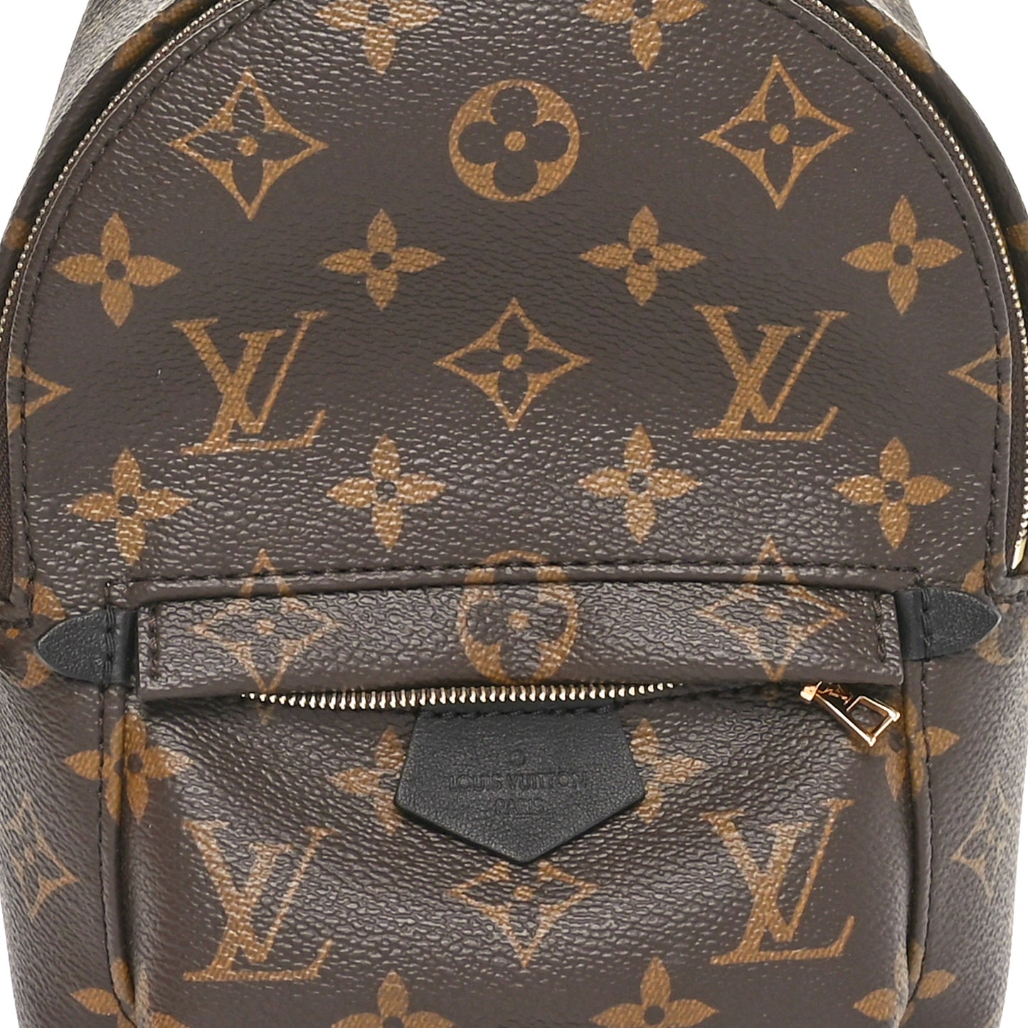Monogram Palm Springs Backpack Mini