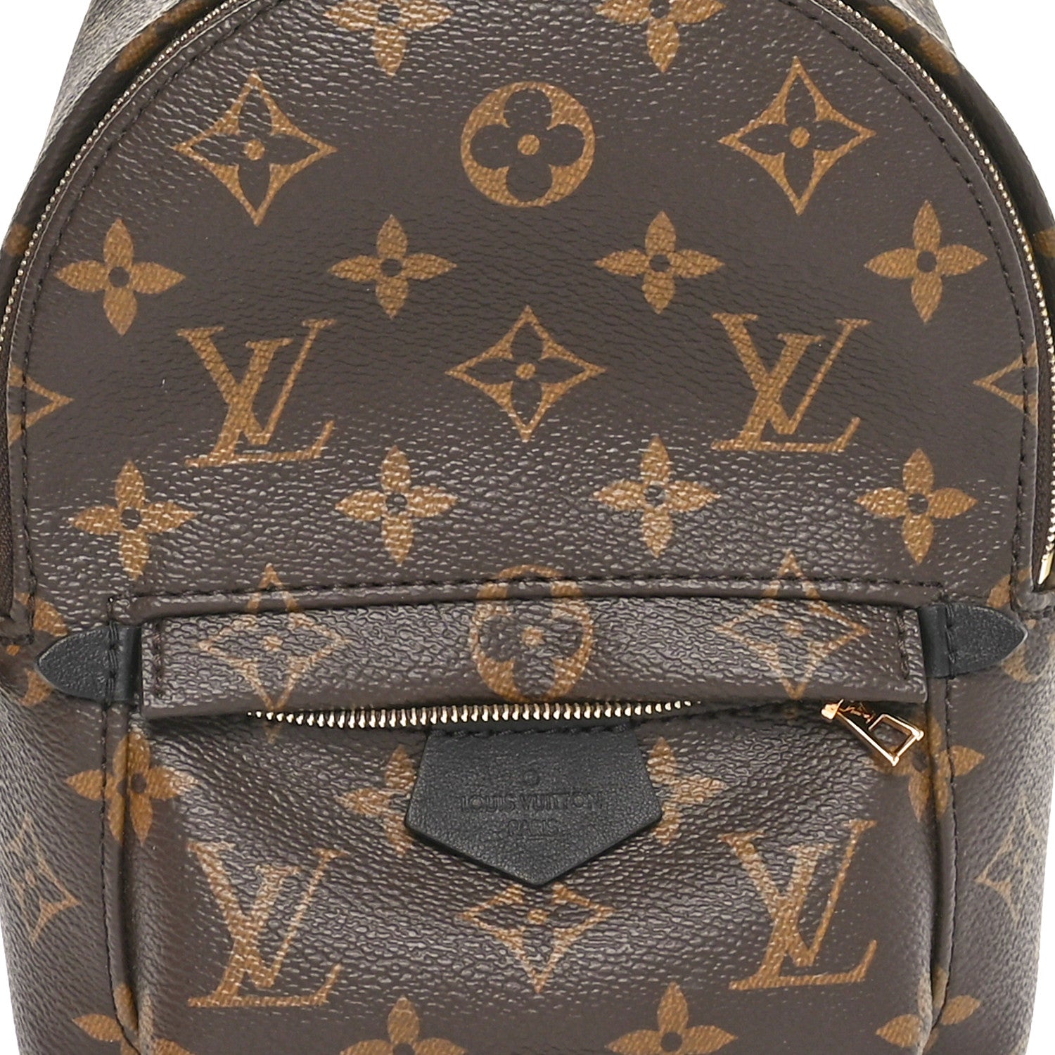 Louis Vuitton Monogram Palm Springs Backpack Mini 7 of 10