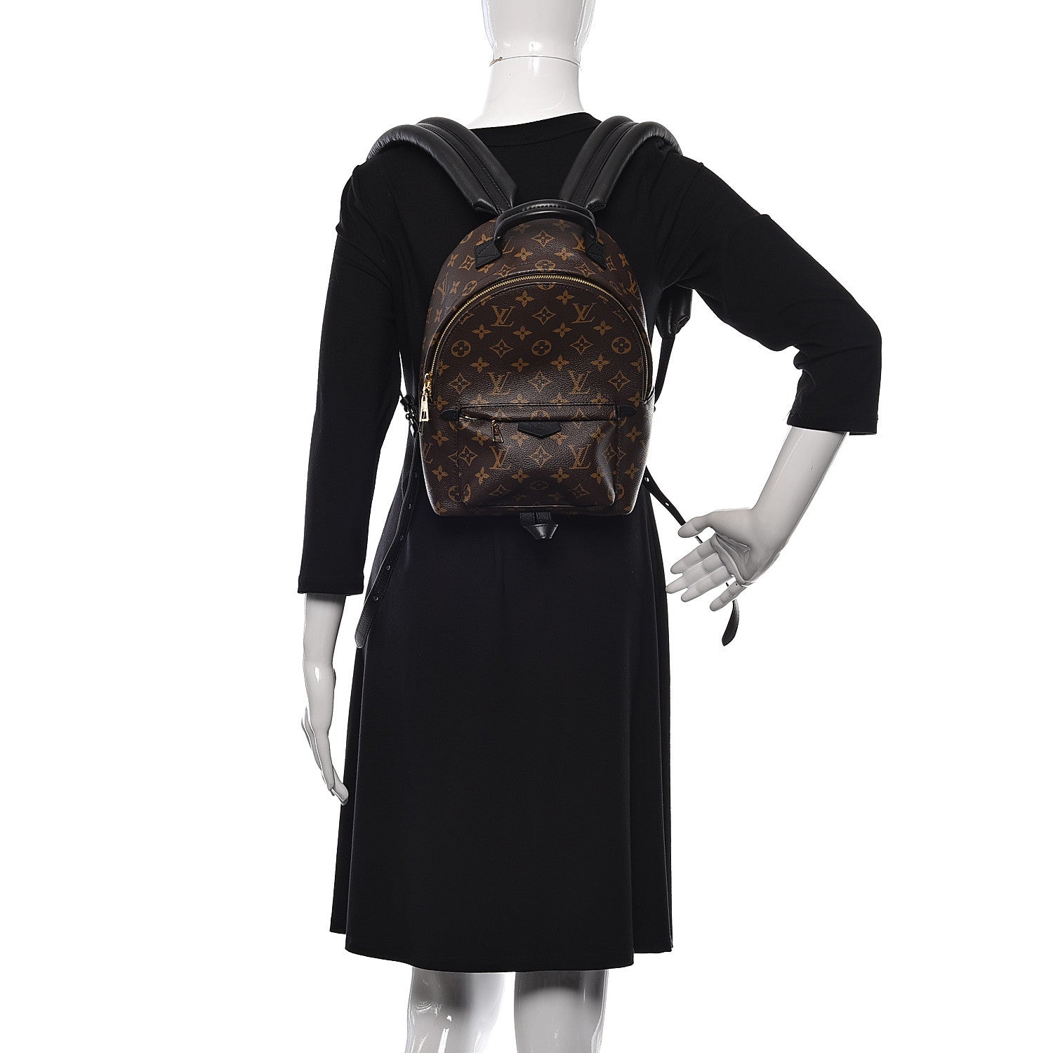 Louis Vuitton Monogram Palm Springs Backpack PM 2 of 10