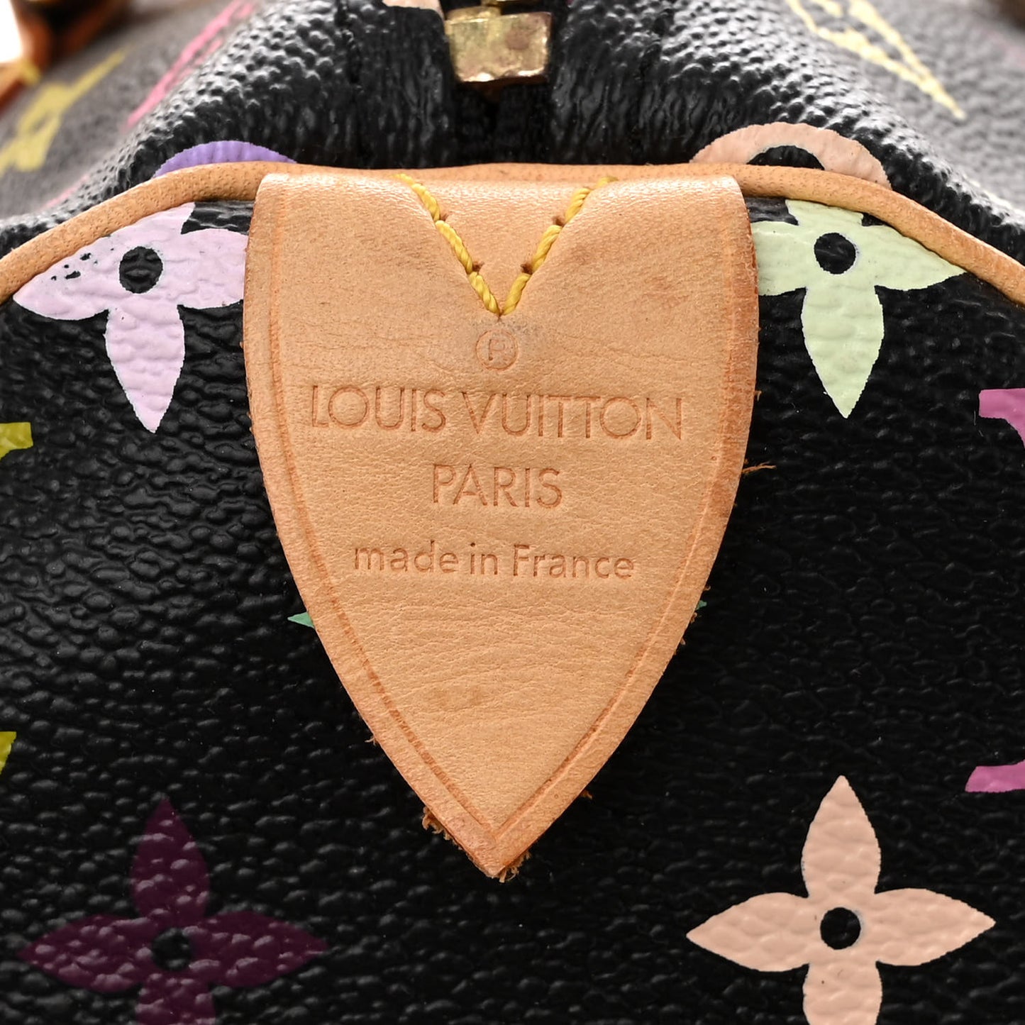 Monogram Multicolor Speedy 30 Black