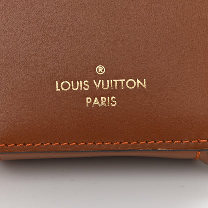 Louis Vuitton Calfskin Catogram Micro Boite Chapeau Marron 6 of 8