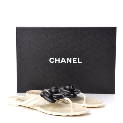 Chanel Jelly Camellia Thong Sandals 38 Ivory Black 15 of 15