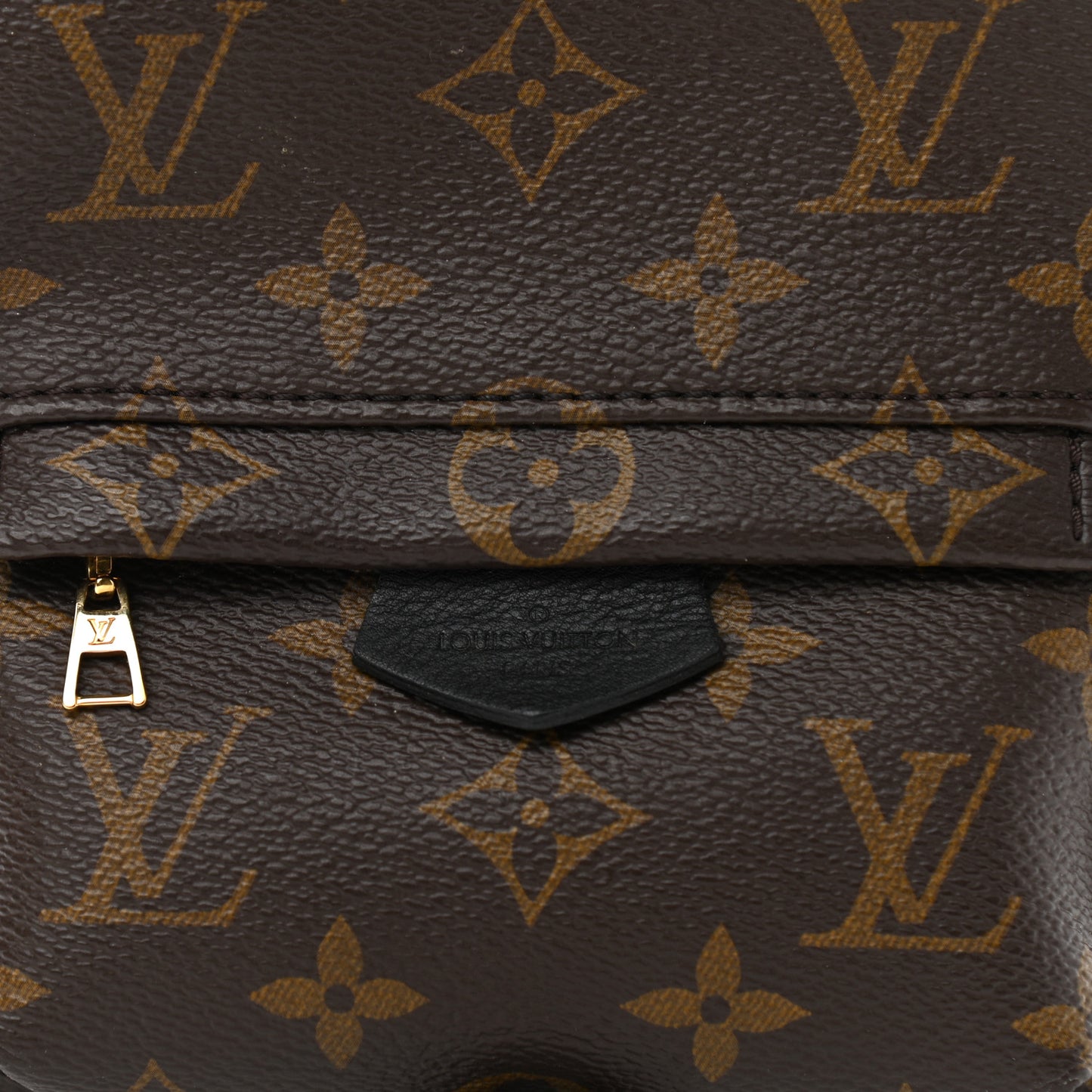 Monogram Palm Springs Backpack Mini