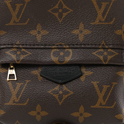 Louis Vuitton Monogram Palm Springs Backpack Mini 7 of 9