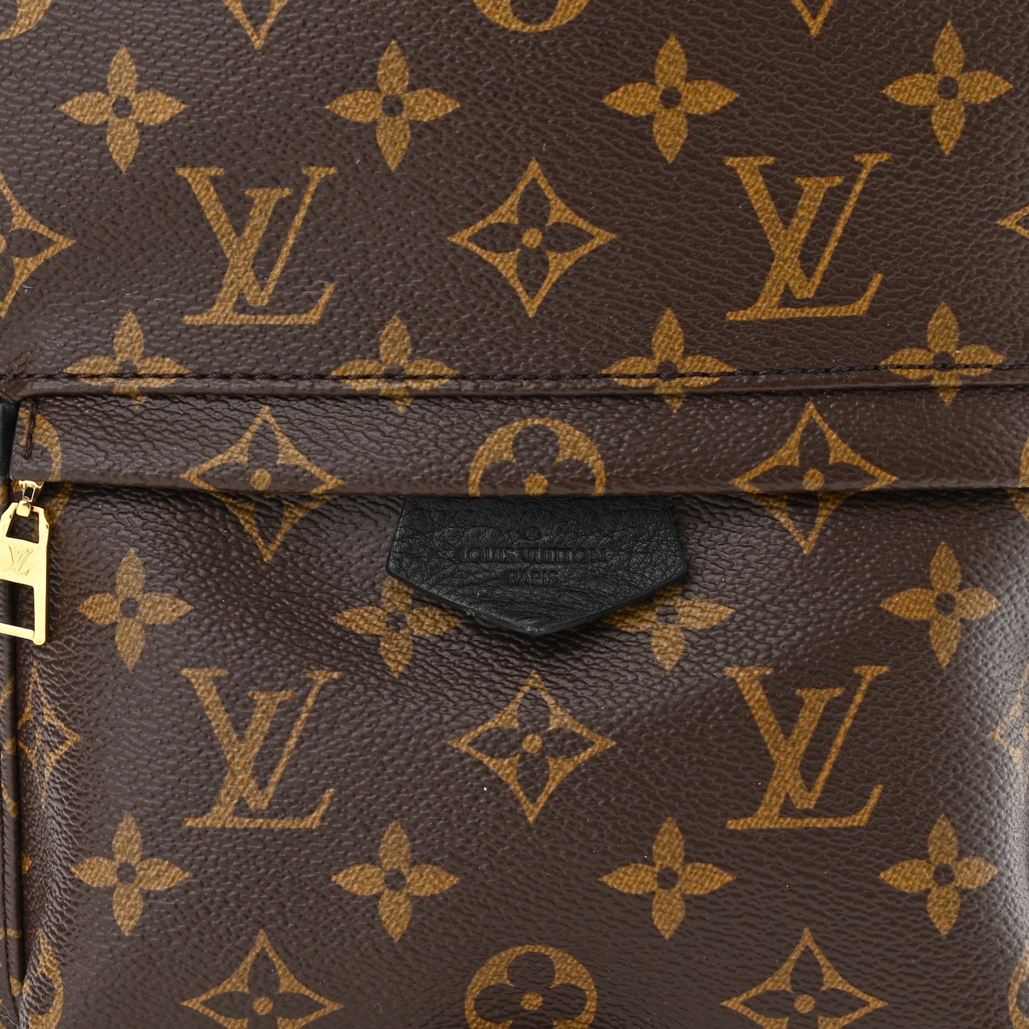Louis Vuitton Monogram Palm Springs Backpack PM 16 of 23