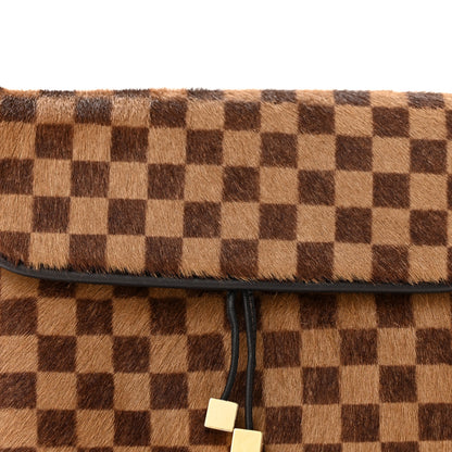 Louis Vuitton Damier Sauvage Gazelle Pochette 6 of 12
