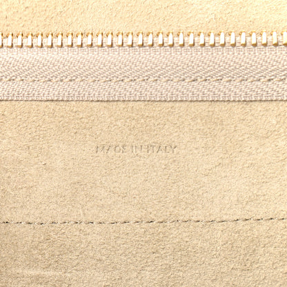 Celine Grained Calfskin Nano Belt Bag Light Taupe 6 of 10