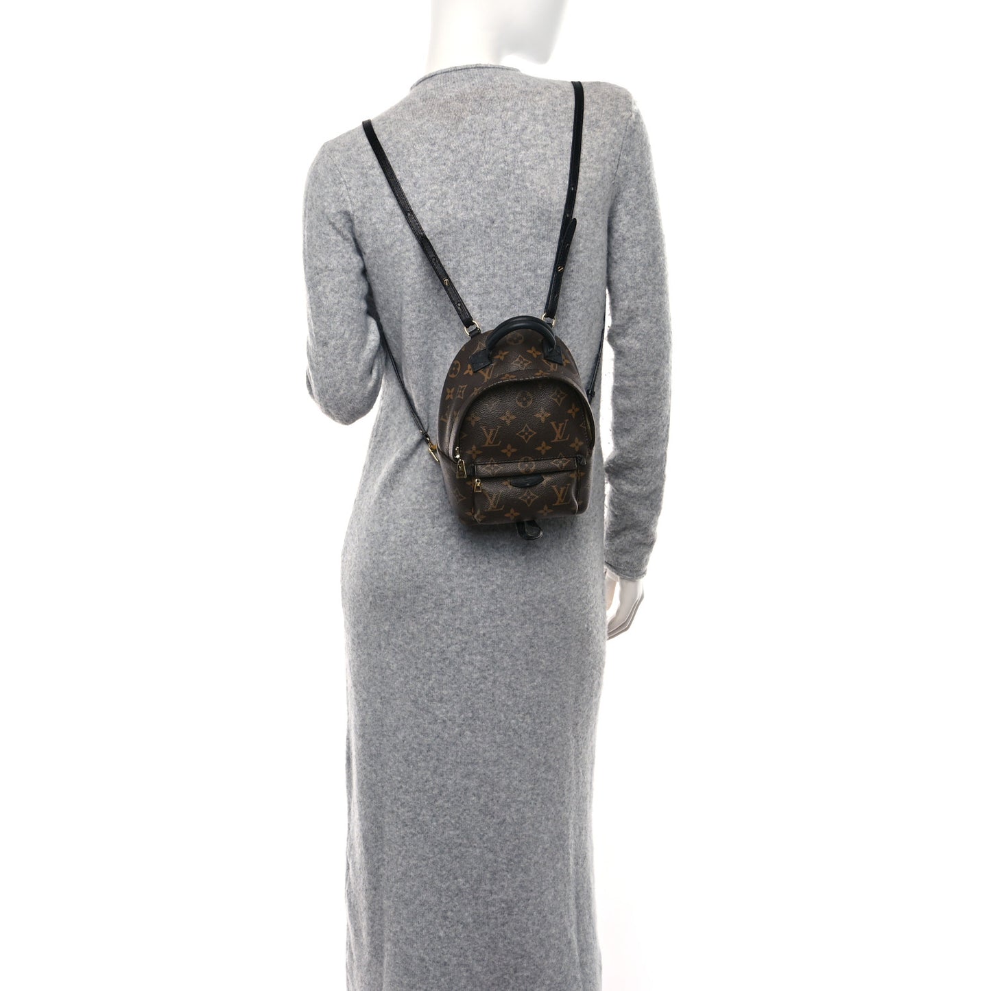 Monogram Palm Springs Backpack Mini