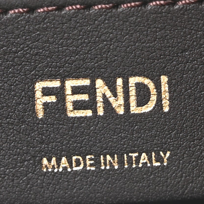 Fendi Vitello Grace Matte Small Fendigraphy Hobo Bag Menta 6 of 10
