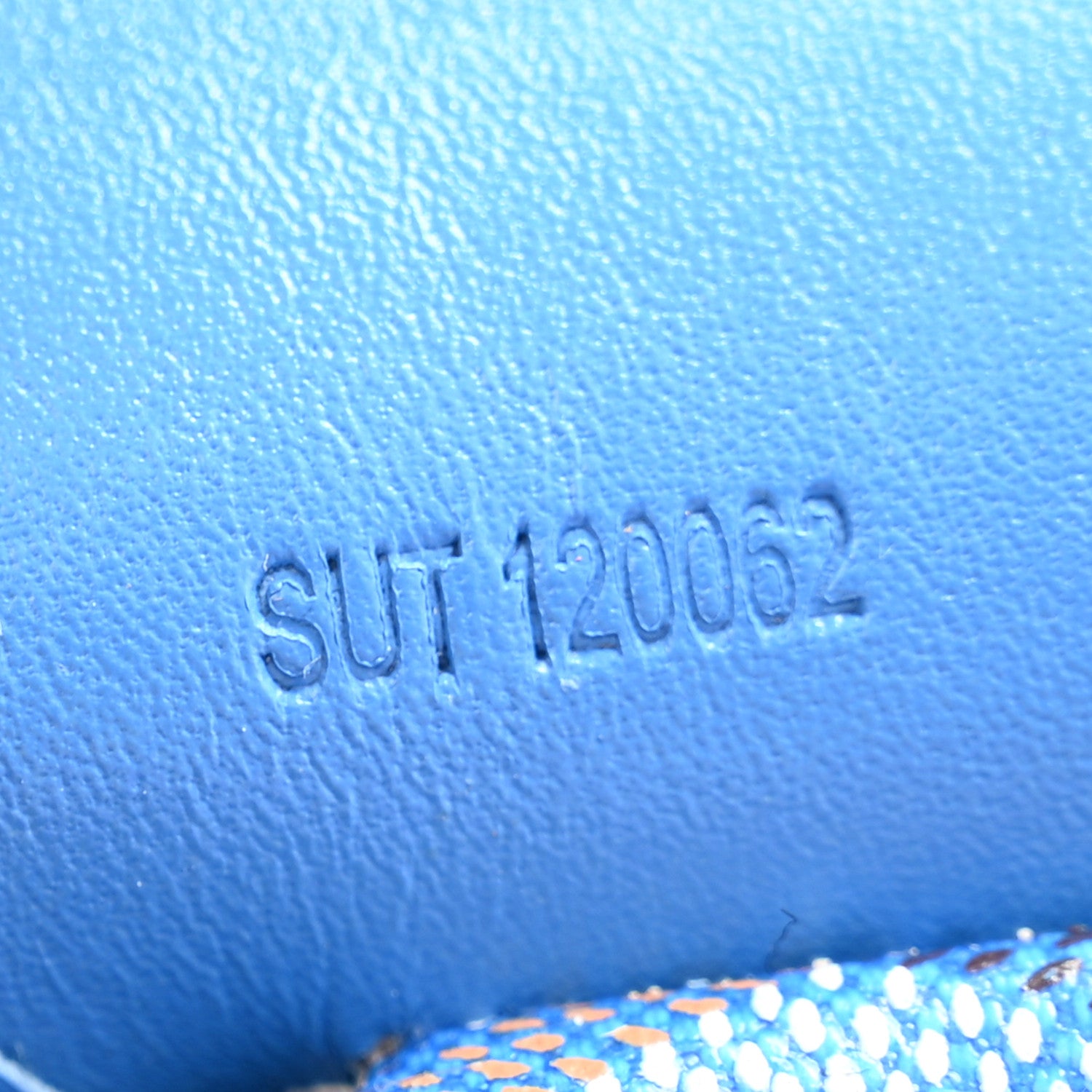 Goyard Goyardine Saint Louis GM Sky Blue 7 of 13