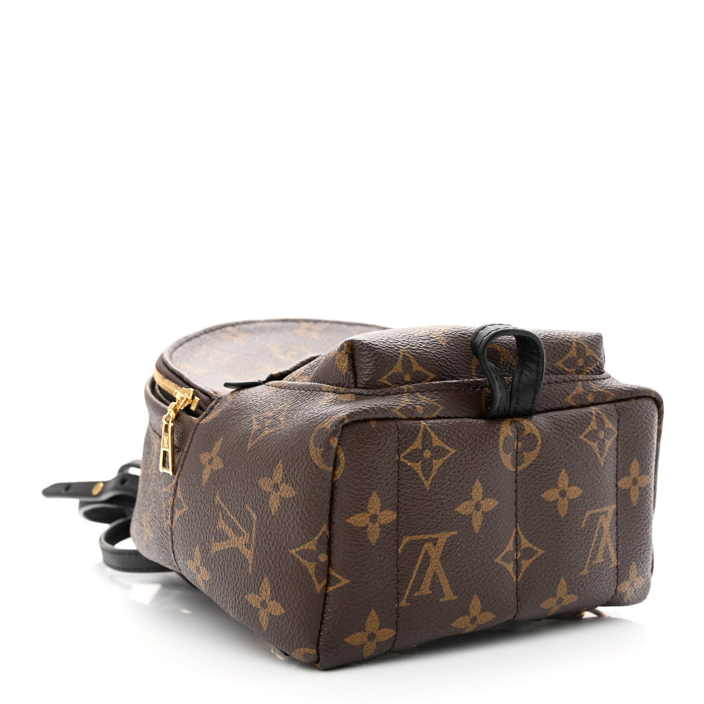 Monogram Palm Springs Backpack Mini