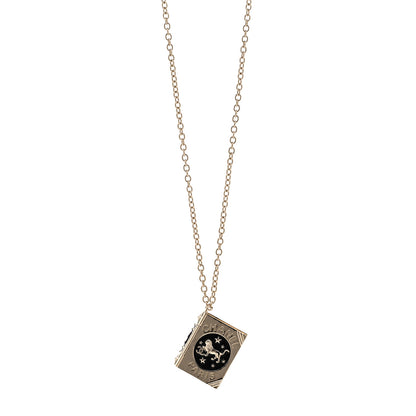 Chanel Metal CC Lion Book Locket Necklace Gold 1 of 6