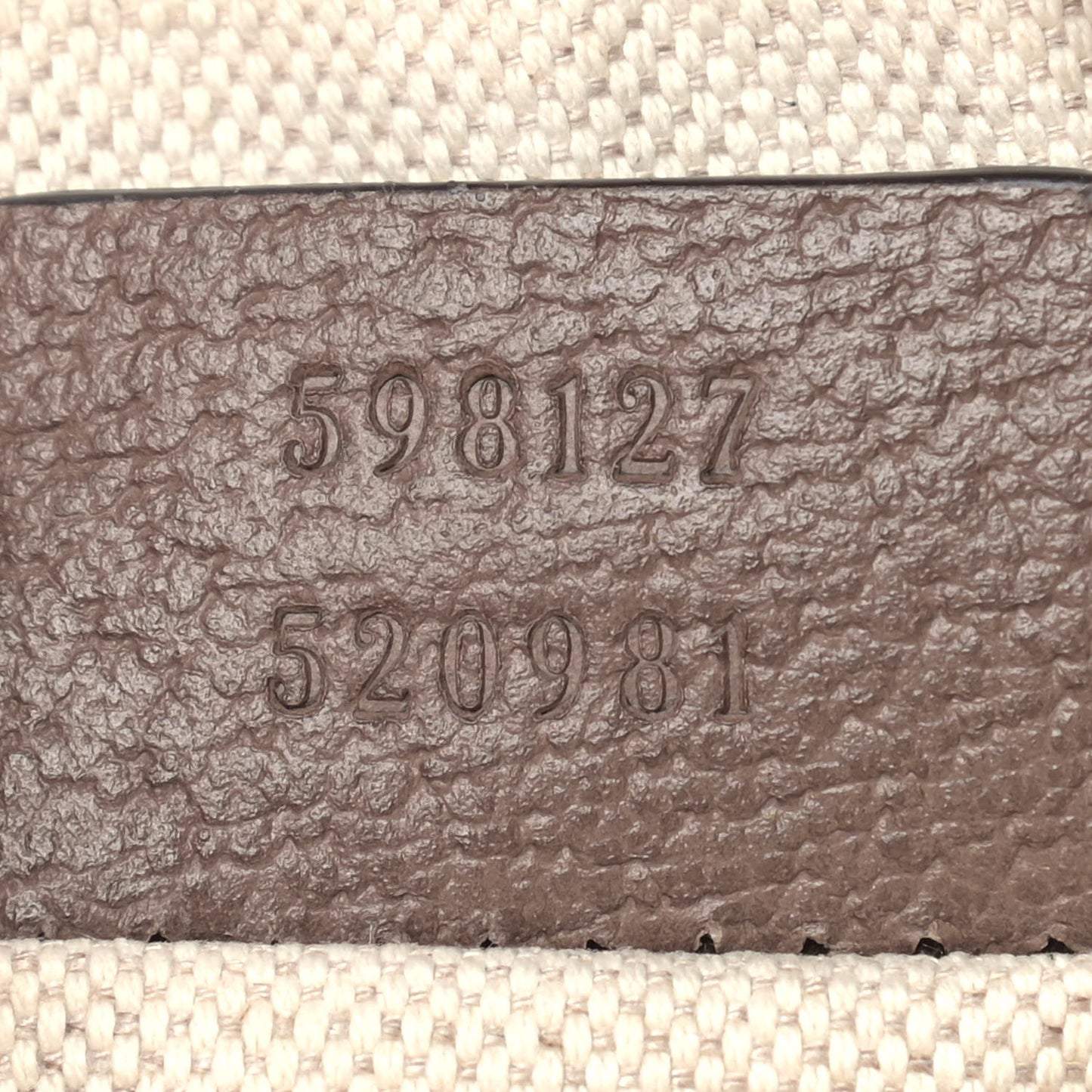 GG Supreme Monogram Web Mini Ophidia Messenger Brown