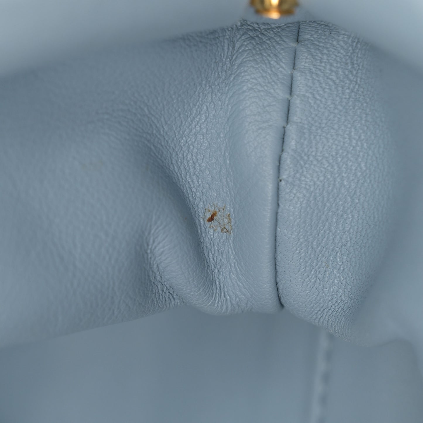 Butter Calfskin The Mini Pouch Ice