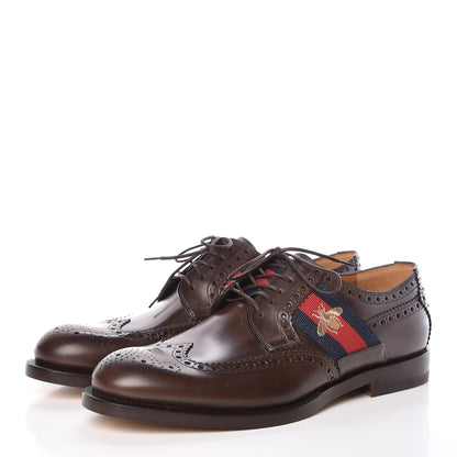 Gucci Calfskin Web Bee Embroidered Mens Lace Up Brogue Wingtip Derby Shoes 7 Cocoa 3 of 8