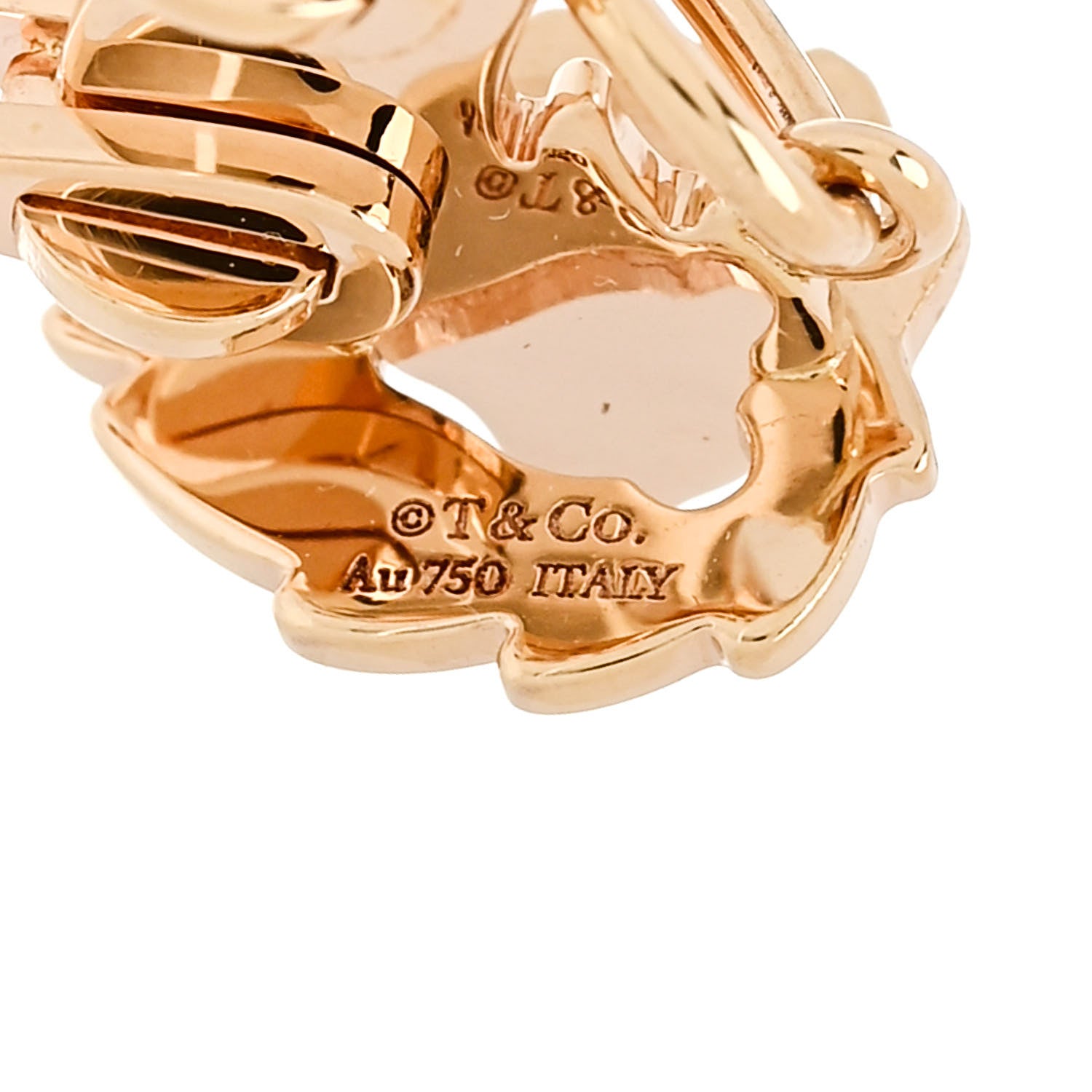 Tiffany 18K Rose Gold Save The Wild Lion Charm 4 of 5