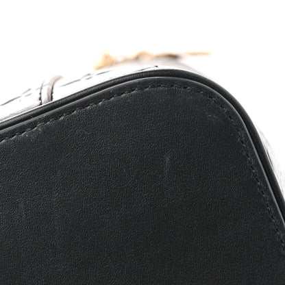 Louis Vuitton Autres Cuirs Monogram Nice BB Acajou 7 of 8