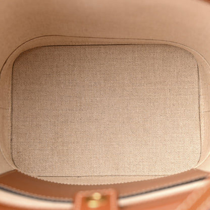 Celine Canvas Calfskin Triomphe Small Bucket Bag Natural Tan 5 of 11