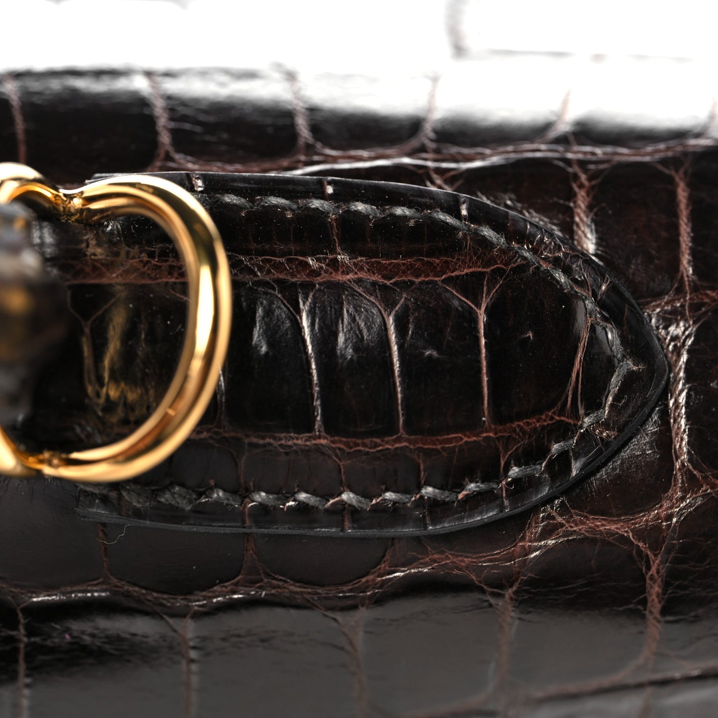 Shiny Niloticus Crocodile Kelly Sellier 28 Macassar