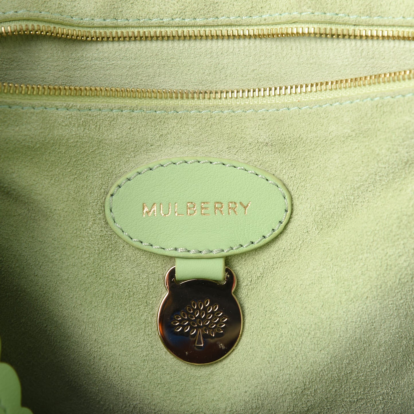 Classic Calfskin Cecily Flower Tote Mint Green