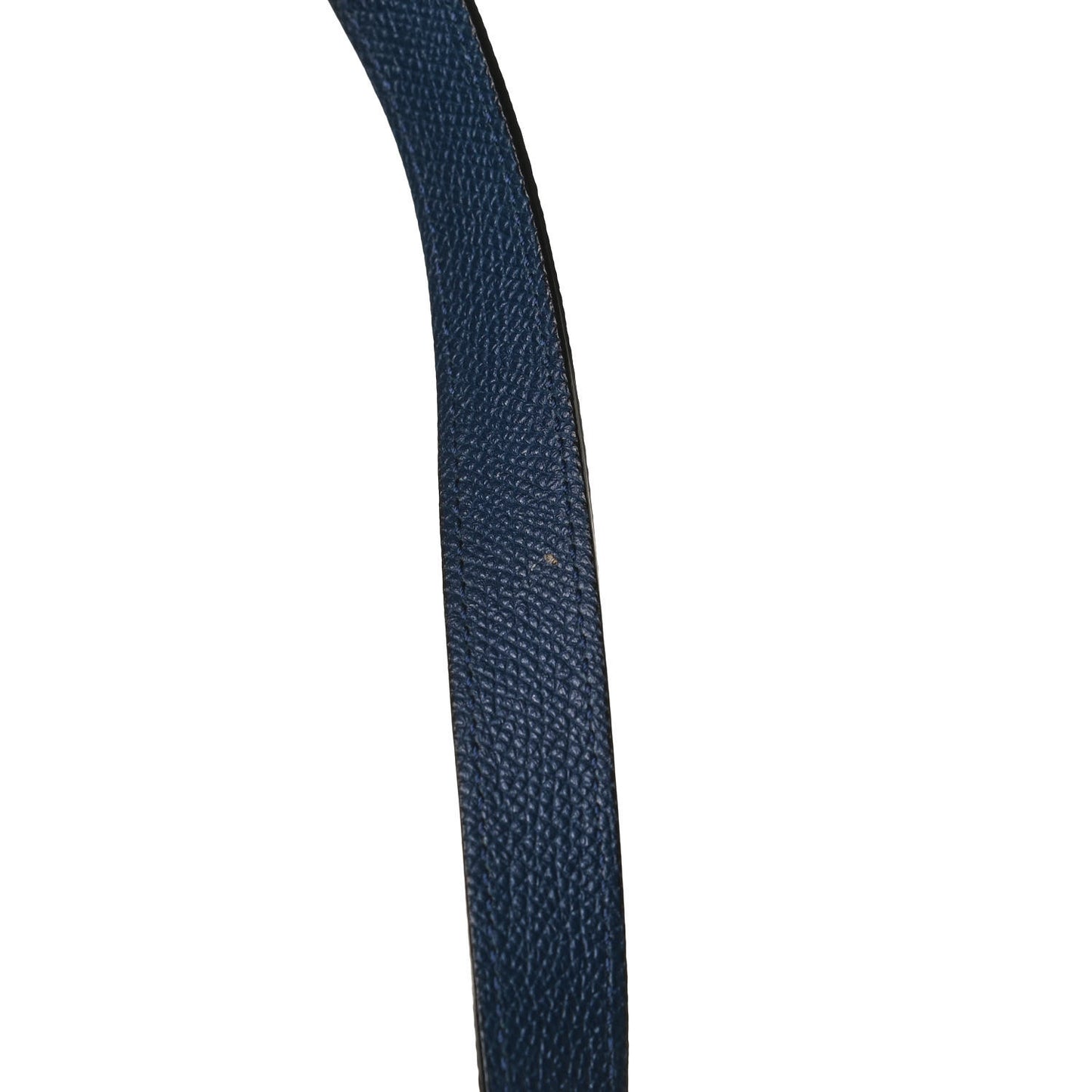 Grained Calfskin Mini Belt Bag Deepsea