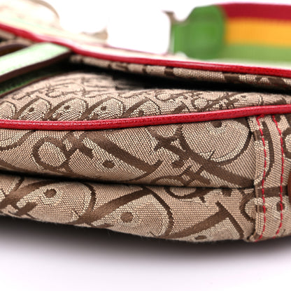 Christian Dior Monogram Rasta Saddle Bag Beige 9 of 13