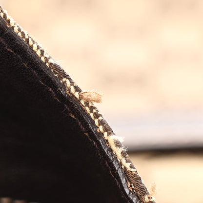 Gucci Monogram GG Royal Hobo Dark Brown 14 of 14