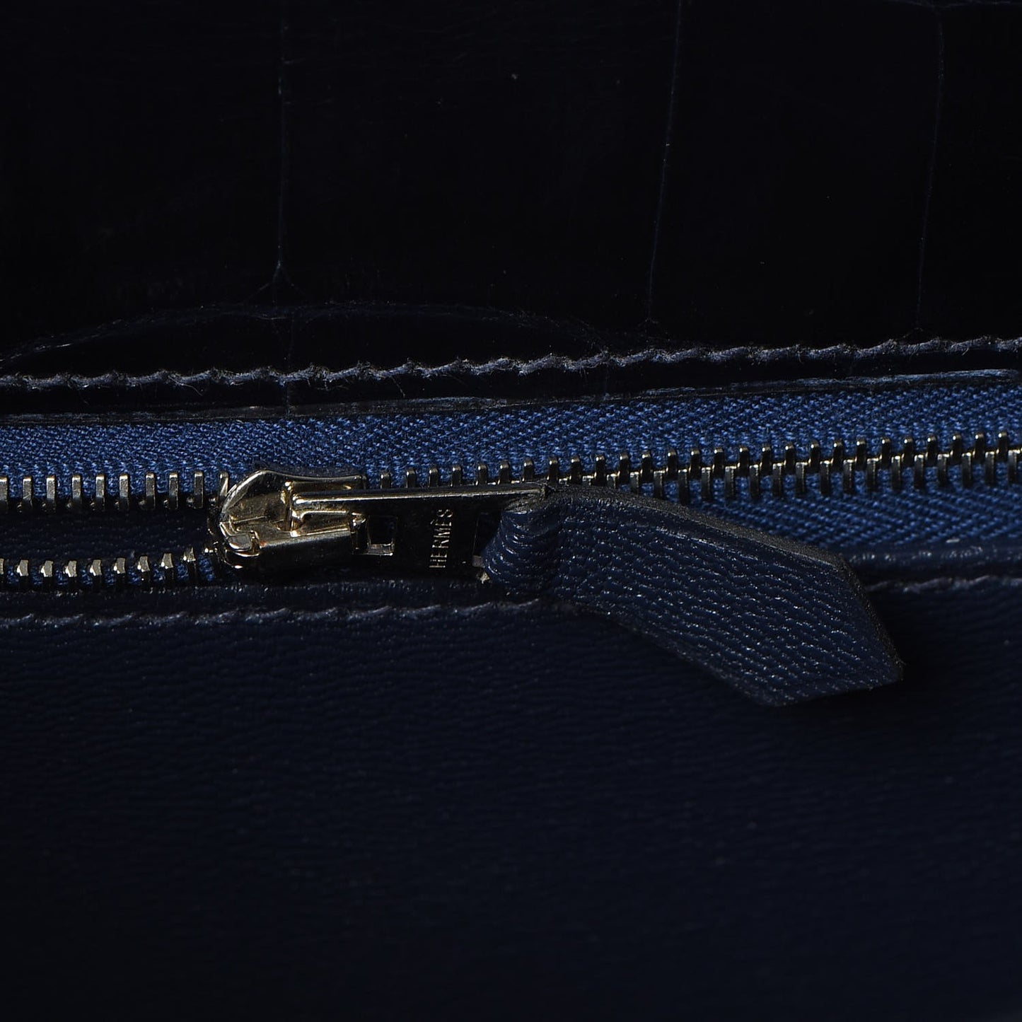 Shiny Niloticus Crocodile Kelly Sellier 32