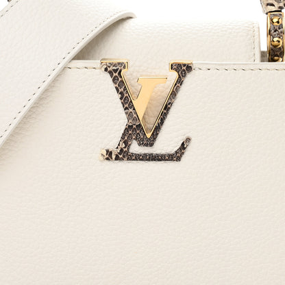 Louis Vuitton Taurillon Ayers Capucines Mini White Snow White 7 of 9