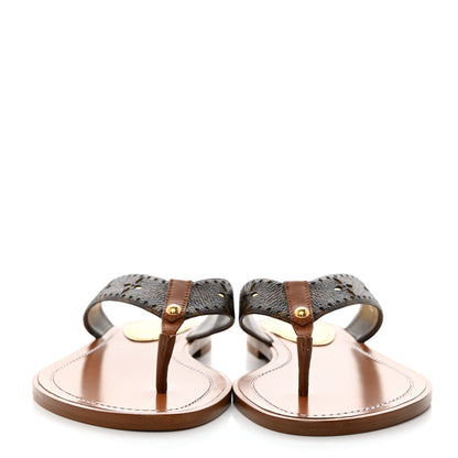 Louis Vuitton Monogram Sunny Flat Thong Sandals 37.5 Brown 2 of 9