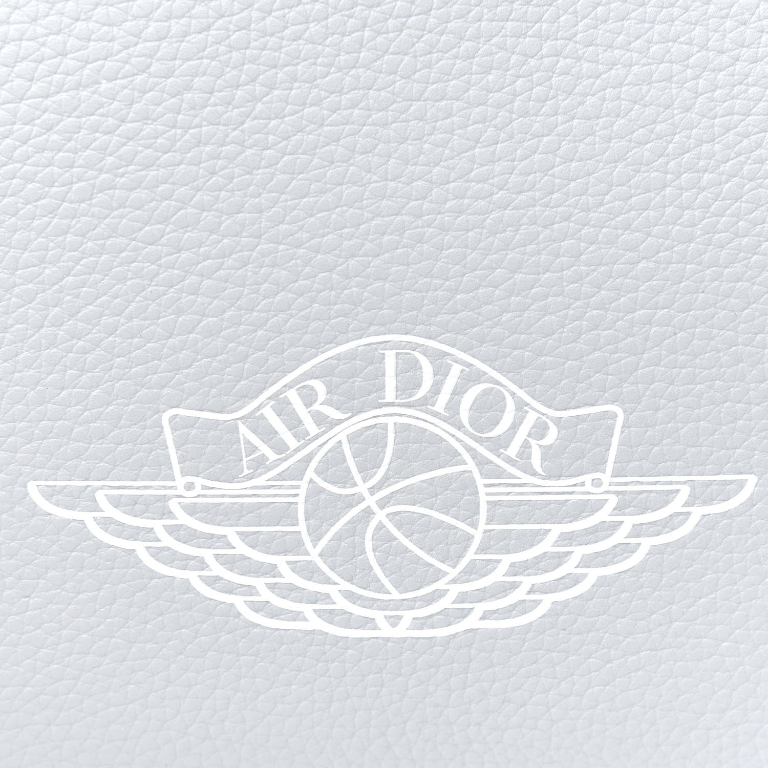 Christian Dior X AIR JORDAN Grained Calfskin Crossbody Grey 10 of 11