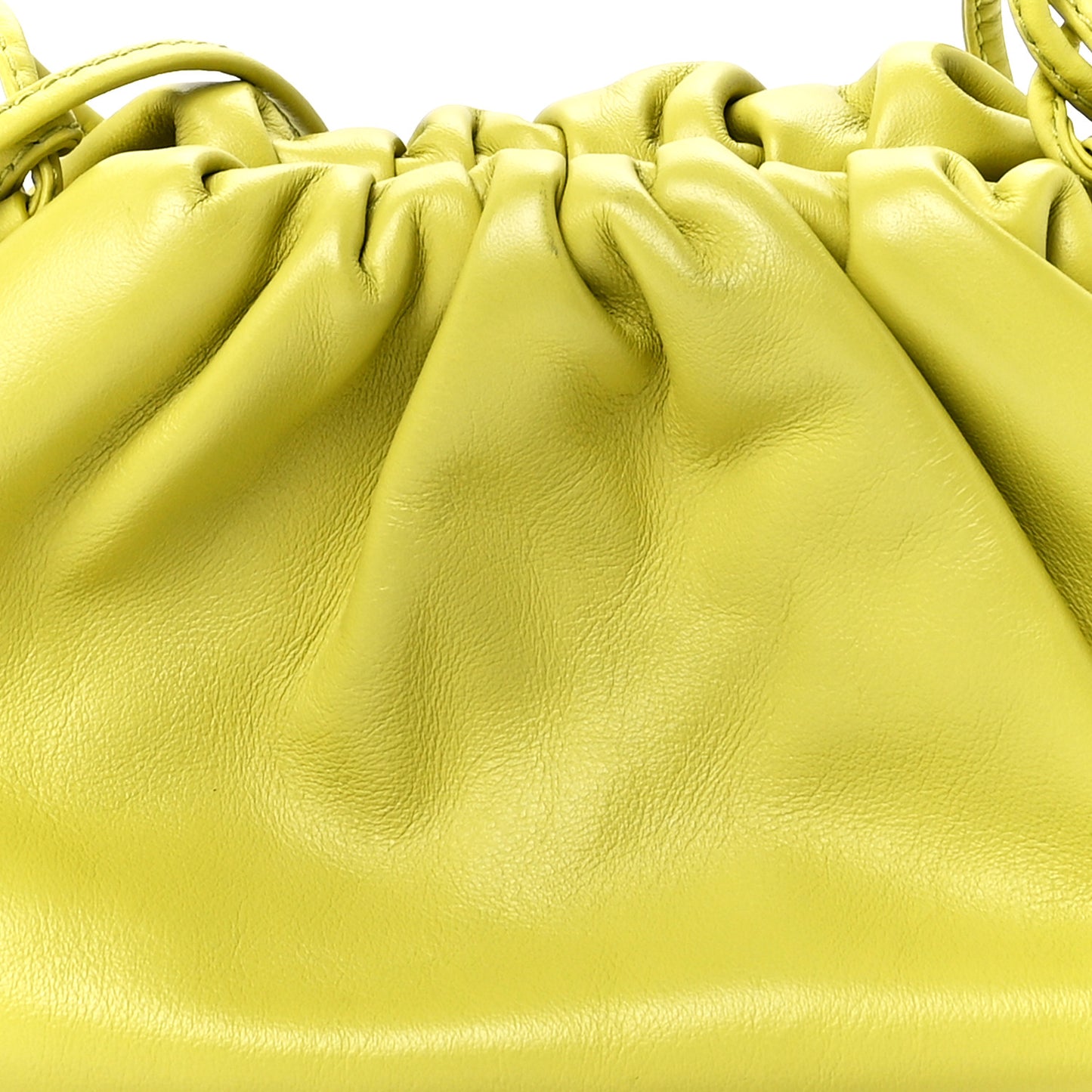 Butter Calfskin The Mini Pouch Kiwi