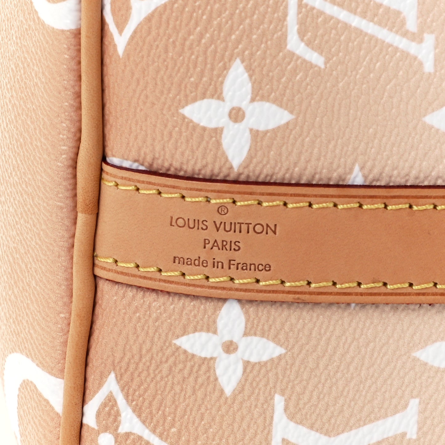 Monogram Giant By The Pool Speedy Bandouliere 25 Brume