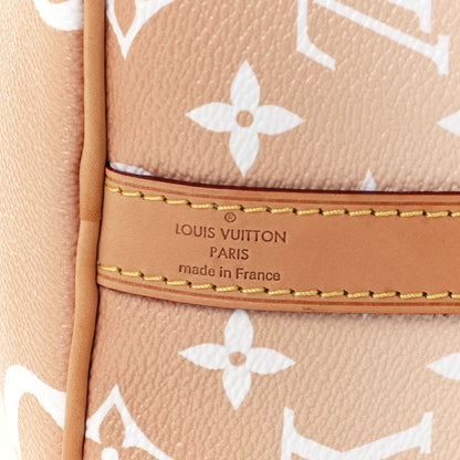 Louis Vuitton Monogram Giant By The Pool Speedy Bandouliere 25 Brume 7 of 11