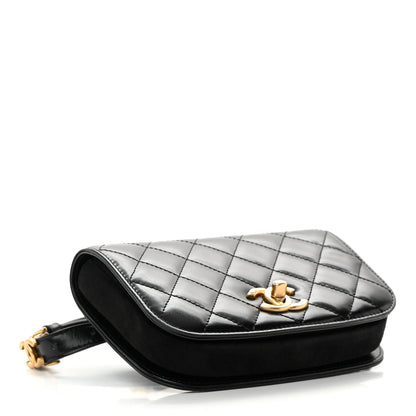 Chanel Shiny Calfskin Quilted Suede Goatskin Belt Bag Black 4 of 13