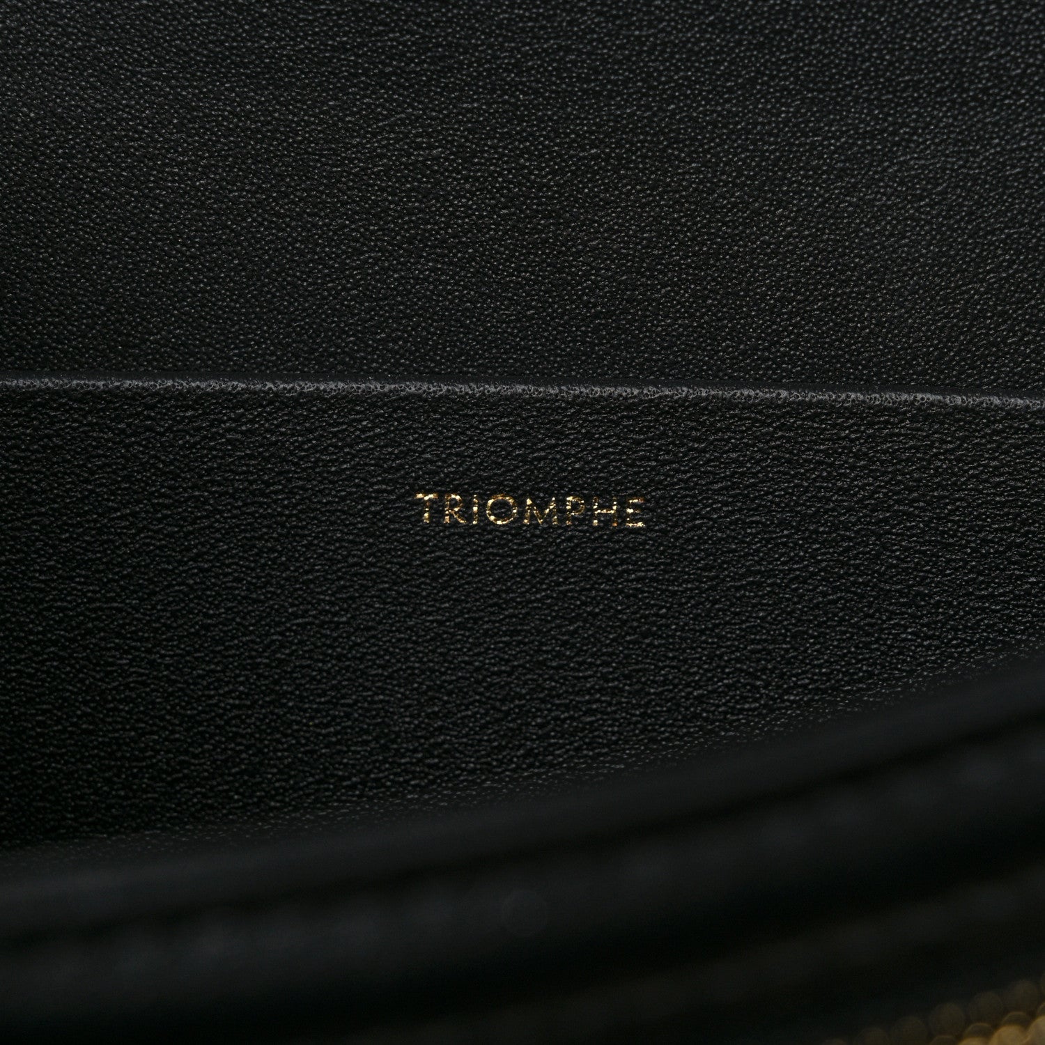 Celine Shiny Calfskin Medium Triomphe Black 7 of 10