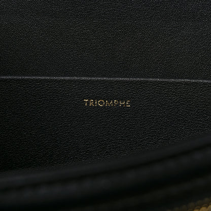 Celine Shiny Calfskin Medium Triomphe Black 7 of 10