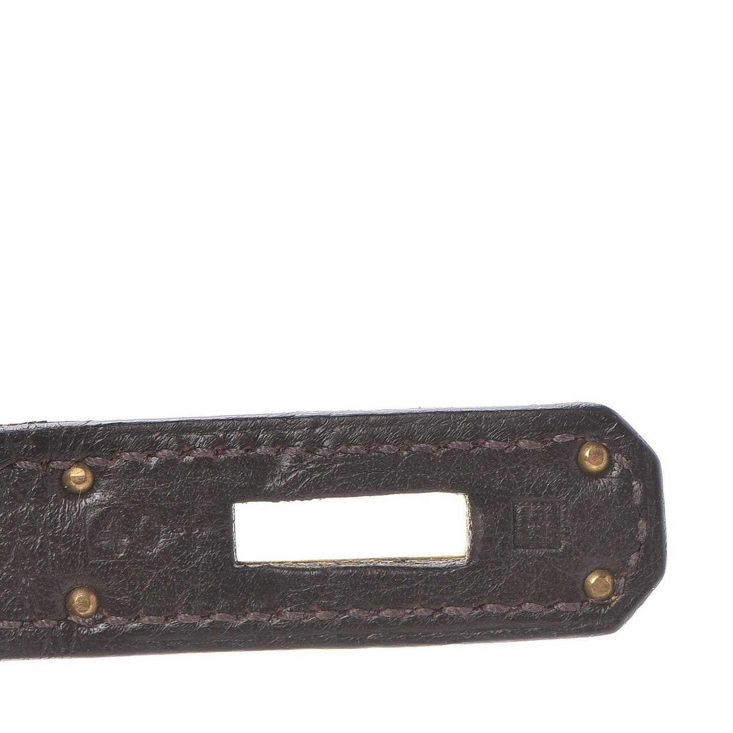 Taurillon Clemence Kelly Retourne 32 Chocolate