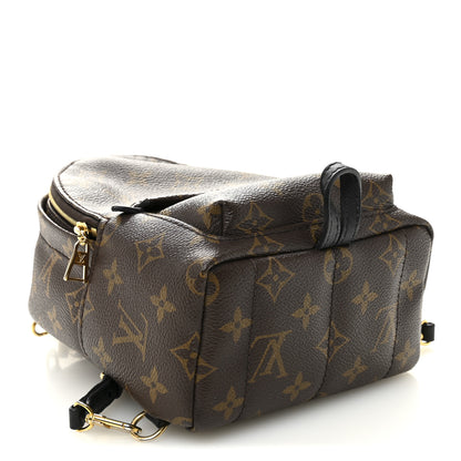 Louis Vuitton Monogram Palm Springs Backpack Mini 4 of 10