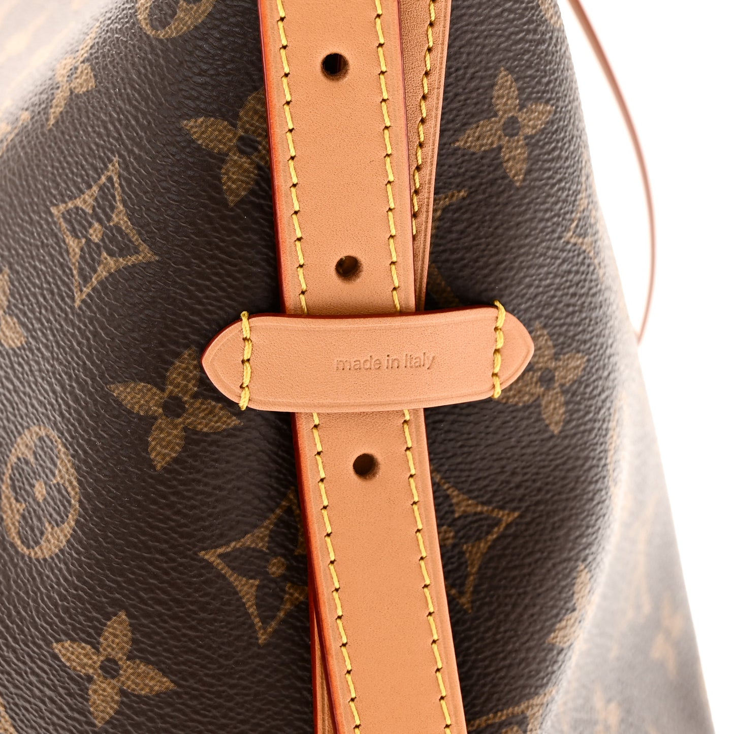 Monogram Carryall MM