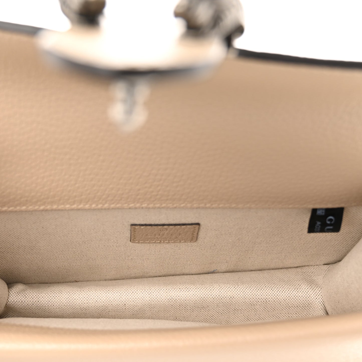GG Supreme Monogram Textured Dollar Calfskin Small Rectangular Dionysus Shoulder Bag Beige Mystic White Oatmeal