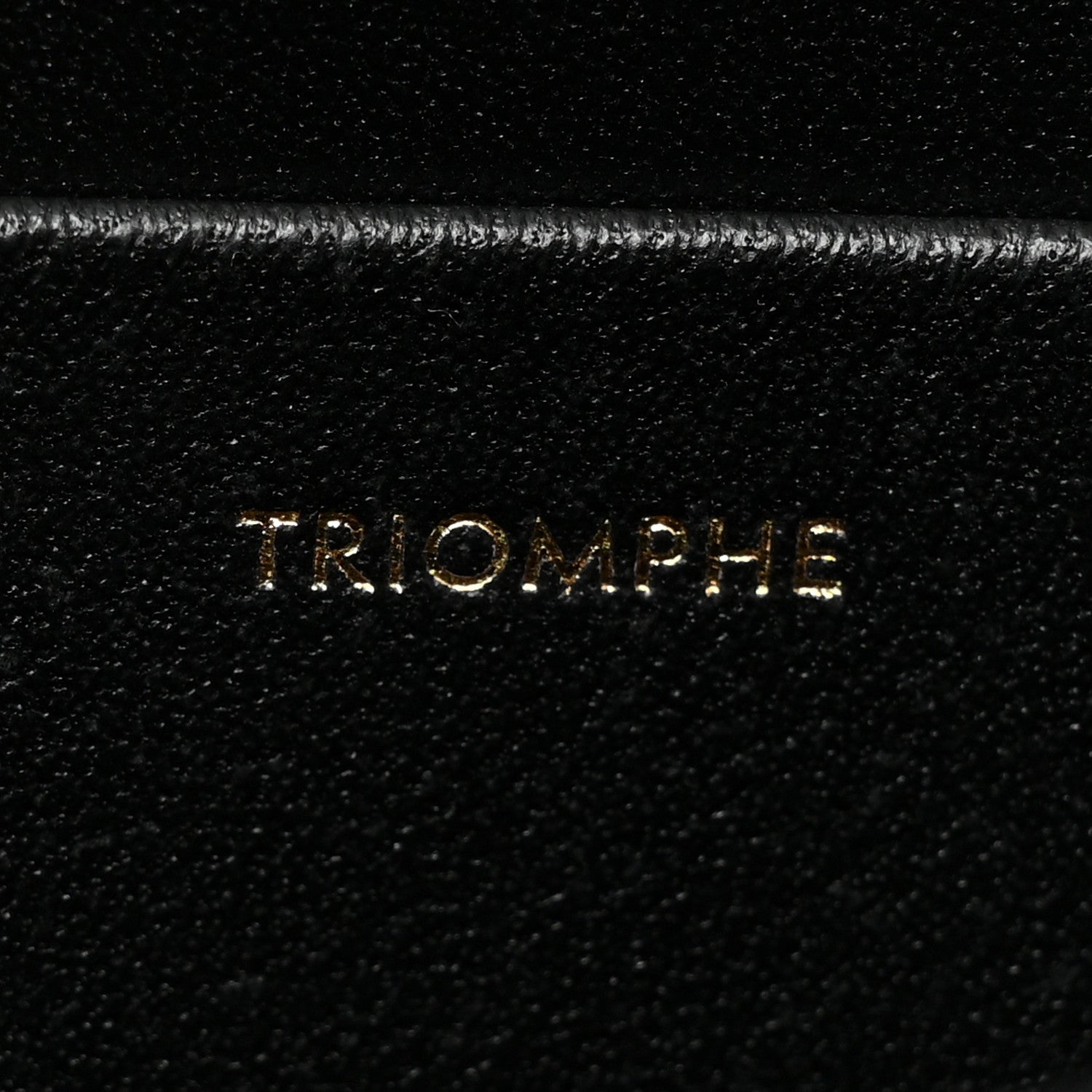Celine Lizard Teen Triomphe Black 7 of 8