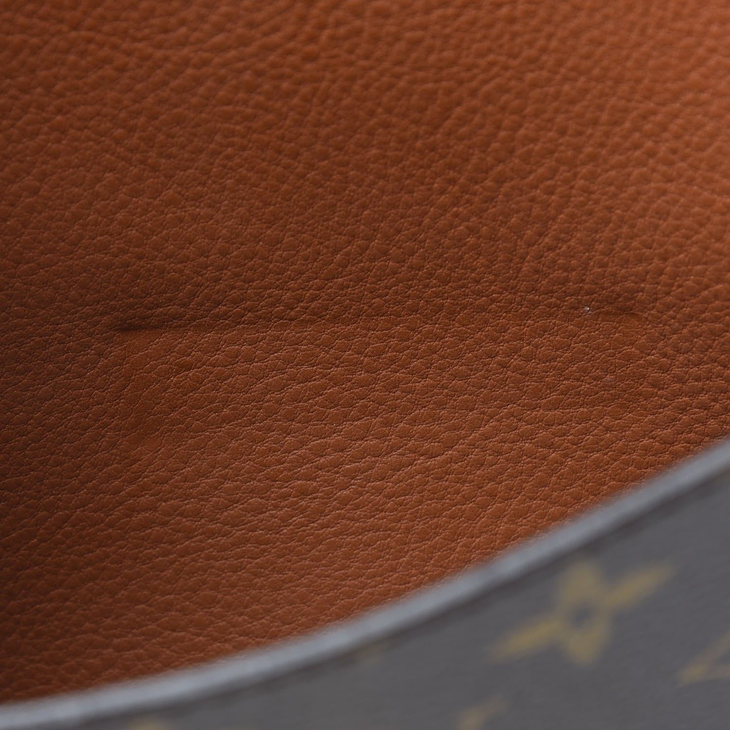 Louis Vuitton Monogram Olympe Havane 9 of 10