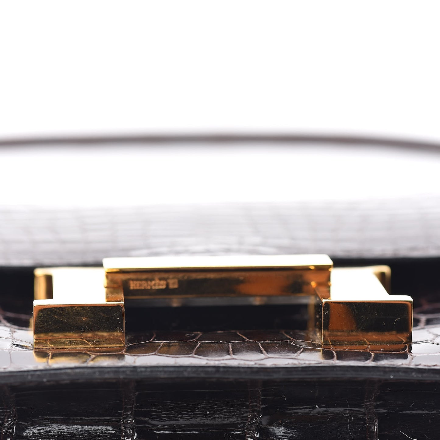 Shiny Alligator Constance 18 Ebene