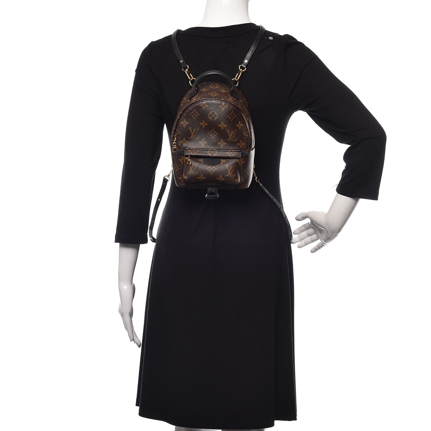 Louis Vuitton Monogram Palm Springs Backpack Mini 2 of 10